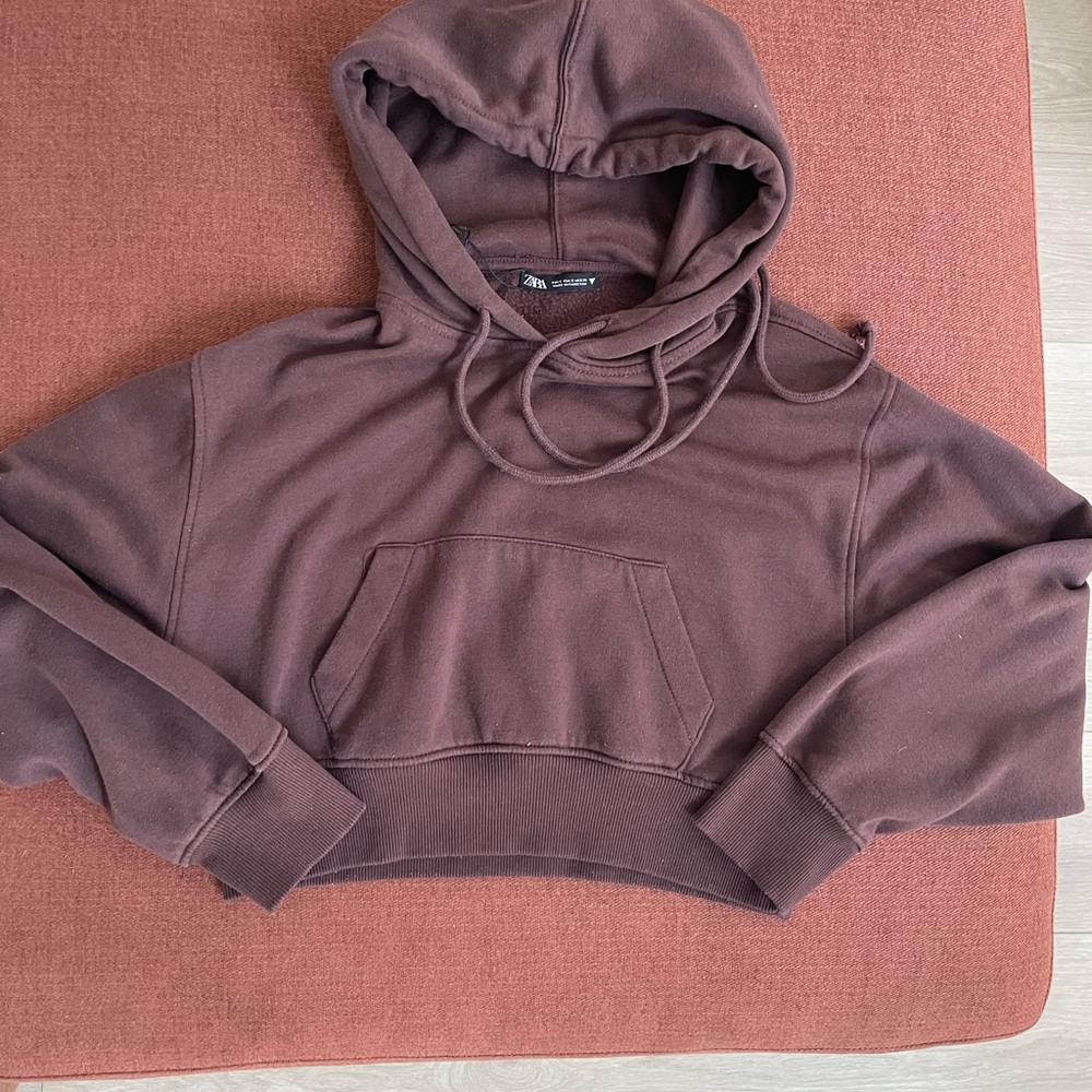 Bundle Sale with Zara Chocolate Brown Cropped Hoodie + 2 Cute Shirts